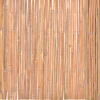 Bambuaita 100x400cm