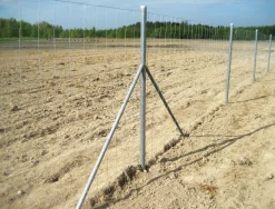 Eläinverkko Zn 1,2x50 m muuttuva silmäkoko (50 m)