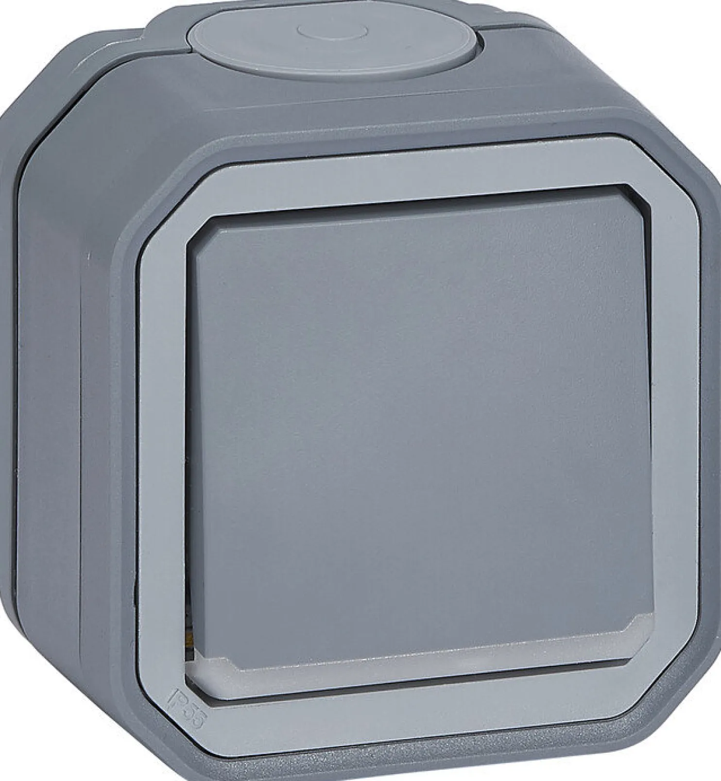 Kaksinapainen kytkin Legrand Plexo 10 A IP55 pinta kontrollivalolla, harmaa