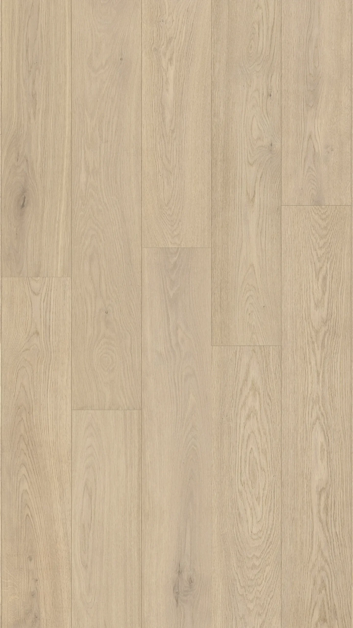 Laminaatti Kronoflooring Organic Classic Rope Ether ORCA, 1-sauva, tammi, 8 mm, 2,26 m²/pkt