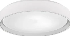 LED-kattovalaisin Trio Felis, 40cm, mattavalkoinen
