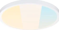LED-paneeli Paulmann Alya pyöreä 3000-6500K valkoinen, eri kokoja
