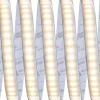 LED-valonauha Paulmann MaxLED 1000, 2.5m, IP44, 29W, 880lm/m, 2700K