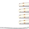 LED-valonauha Paulmann SimpLED Full-Line COB, 500lm/m, 384LEDs/m, 3000K, 12VA, eri kokoja