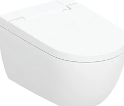 Seinä-WC-istuin Geberit Alba, pesevä, valkoinen