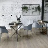 Vinyylikorkki Concept Floor Ecoline Oak Grey harmaa
