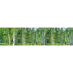 Välitilatarra Dimex Birch Grow 180-350x60cm