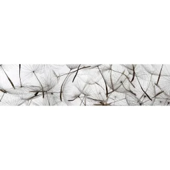 Välitilatarra Dimex Dandelion Seeds 180-350x60cm