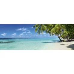 Välitilatarra Dimex Paradise Beach 180-350x60cm