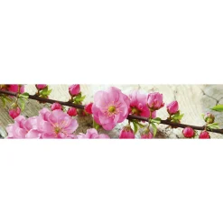 Välitilatarra Dimex Sakura 180-350x60cm