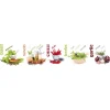Välitilatarra Dimex Spice 180-350x60cm