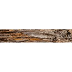 Välitilatarra Dimex Tree Bark 180-350x60cm