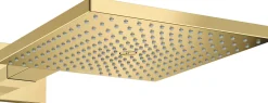 Yläsuihku Hansgrohe Raindance E 300 Air 1jet, seinäsuihkuputki, piiloasennus, kiiltävä kulta